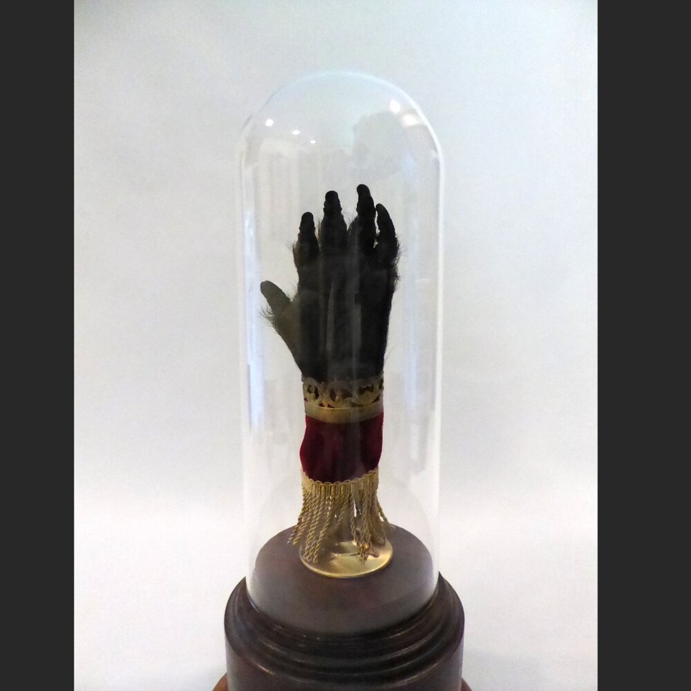 16” REAL TAXIDERMY “CURSED” MONKEY PAW HAND IN GLASS DOME DISPLAY BASE ODDITY - Picture 6 of 15